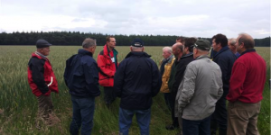 Schoon Water veldbijeenkomst aardappel