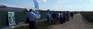 Stands van Poortershaven, Soiltech, Van Iersel Eurofins Agro en Koppert.