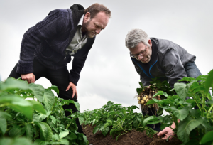 Herman van Bekkem (L) krijgt uitleg over onkruidbestrijding van aardappelteler Dingeman Burgers (R).