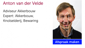 Anton van der Velde